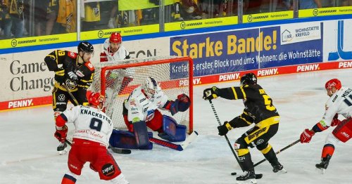 3:6-Auswärts-Niederlage: Starbulls nehmen Pinguine auf die Hörner