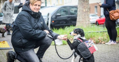 Ehrenamt-Projekt für Menschen mit Demenz in Düsseldorf: Krankenbesuche auf vier Beinen