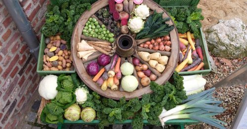 Wintergemüse – bunt und gesund: Das wächst auf Mönchengladbachs Feldern