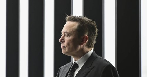 Politiker zu Tesla-Absturz: „Ich habe mehr Schadenfreude als Mitleid mit Musk“