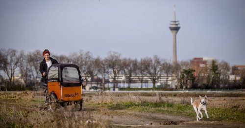 Eine Million Euro pro Jahr: Kommt die neue Förderung für Lastenräder in Düsseldorf?