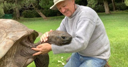 Methusalem der Tierwelt: Älteste Schildkröte der Welt ist fast zwei Jahrhunderte alt