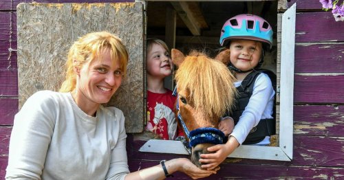 Besuchspferd für Kitas und Seniorenheime: Das Shetland-Pony, das Aufzug fährt