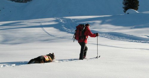 Gletscherbruch in den Alpen: Sechs Tote und Verletzte nach Eislawine an Dolomiten-Gipfel