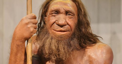 Achäologische Sensation: Schon die Neandertaler nutzten Mehrkomponentenkleber