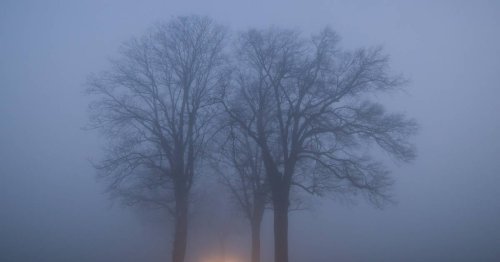 Autofahren bei Nebel und Nässe: Wann braucht man eigentlich die Nebelschlussleuchte?