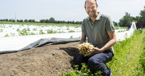 Saisonstart im April: Spargelanbauer in NRW erwarten gute Ernte