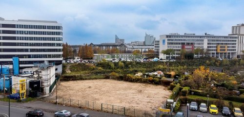 Klimaanpassung in Düsseldorf: In Flingern wird ein Parkplatz zum Mini-Wald