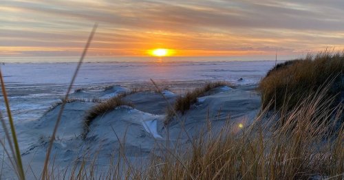 Zwischensaison auf Amrum: Insel aus Sand und Ruhe