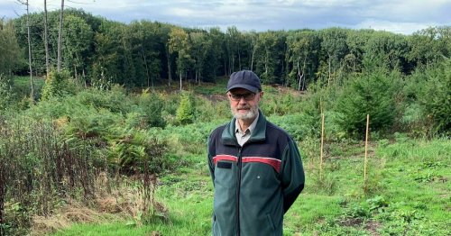 Viersener Stadtförster Rainer Kammann: „Dem Wald ging es noch nie so schlecht“