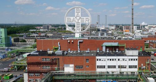 200 Jobs in Dormagen weg: Bayer startet neues Sparprogramm