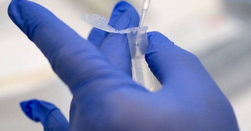 Neues Verfahren gegen Autoimmunerkrankungen: Dieser Impfstoff könnte Diabetes, Multiple Sklerose oder Rheuma heilen