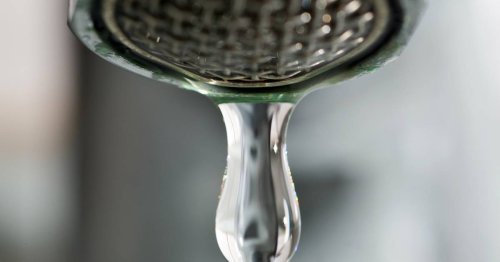 Proben aus Wesel, Xanten, Rheinberg & Dinslaken: Darmbakterien, überschrittene Grenzwerte – so steht es um das Grundwasser im Kreis Wesel