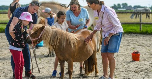 Integratives Projekt in Straelen: Auf Pferden Freunde werden