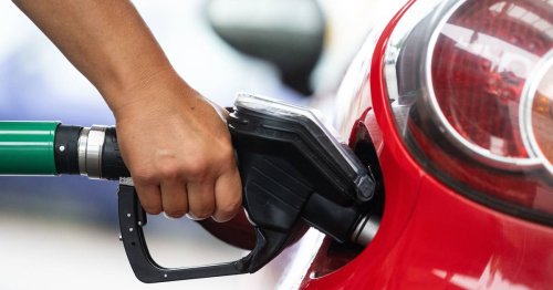 Umfrage unter Fahrern: Benziner wieder beliebter – Öko-Image von E-Autos nimmt ab