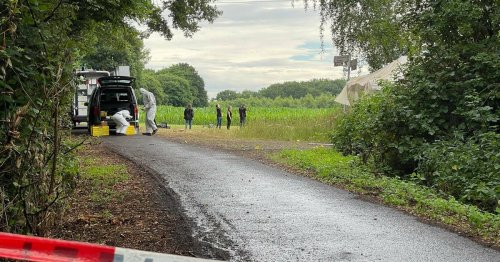 Freund wird verdächtigt: Verbrannte Frauenleiche in Naturschutzgebiet bei Hamm entdeckt – vermutlich vermisste 17-Jährige