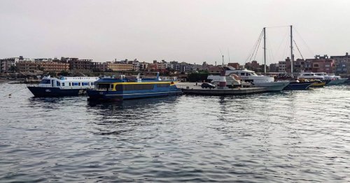 Tödlicher Vorfall in Ägypten: Mann stirbt nach Hai-Angriff in Hurghada