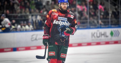 Er kommt aus der DEL: Krefeld Pinguine präsentieren ersten neuen Spieler