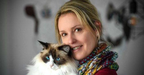 Katzenpsychologin Annika Wechmann-Scherbe aus Vorst: Auch Katzen brauchen Therapie