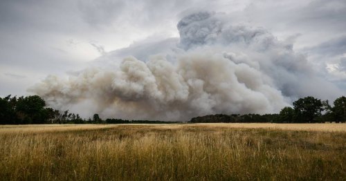 In Brandenburg und Sachsen: Erste Entwarnung bei Waldbrand - Evakuierungen aufgehoben