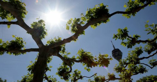Wetter in NRW: Viel Sonne und hohe Temperaturen am Pfingstwochenende