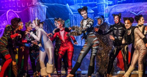 Aufführung der Ballettschule Annette Schulz: Tänzerinnen begeistern mit Musical „Cats“