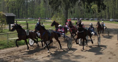 Osterrenntag in Sonsbeck: Sturz sorgt beim Pferdespektakel für Schreckmoment