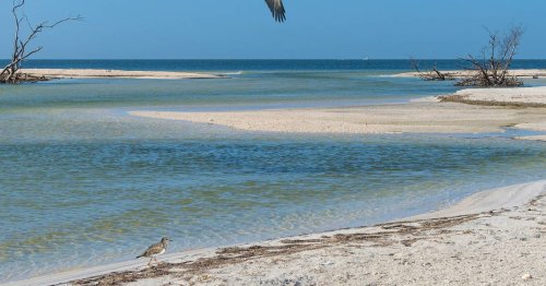 Florida: Bedrohte Naturparadiese im Sonnenstaat