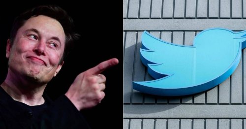 Umgang mit Desinformation: EU droht Twitter mit Abschaltung