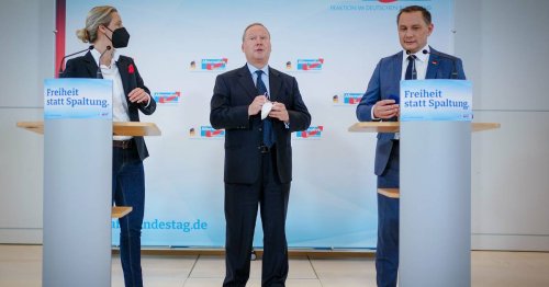 Wegen AfD-Präsidentschaftskandidatur: CDU stellt Otte den Stuhl vor die Tür