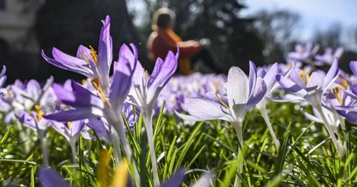Grillen, Wandern, Einkehren: 7 Freizeittipps für ein Wochenende in NRW