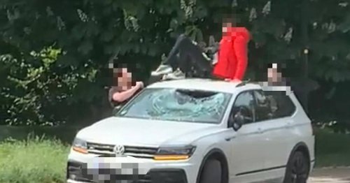 Video geht im Nachbarland viral: 18-Jähriger aus Rees rastet in den Niederlanden aus und demoliert Auto