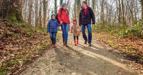 Herbstferien zu Hause: Sieben herbstliche Wanderrouten in NRW