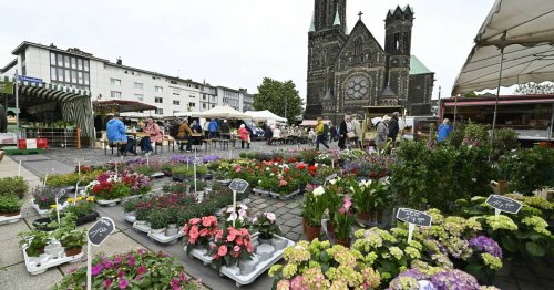 Programm auf Rheydter Wochenmarkt: Shoppen, Schnippeln und schicke Schlitten