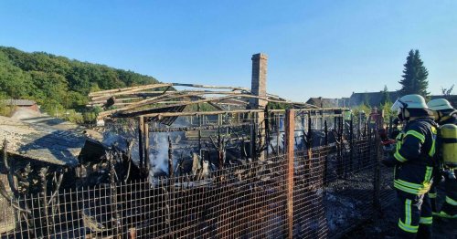 Wald, Wohnung und Wiese in Flammen: In Hückelhoven brennt es gleich vierfach