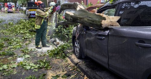 Schäden durch den Sturm am Donnerstag: Familie aus der Ukraine verliert Auto bei Unwetter