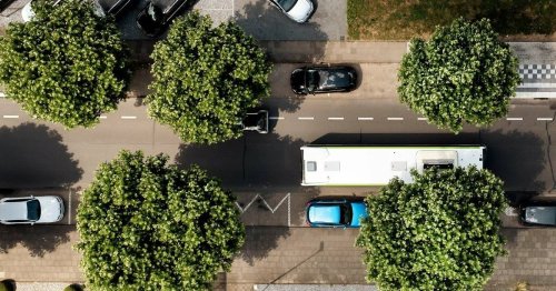 Verwaltung in Radevormwald: Online-Baumkataster der Stadt wird erstellt