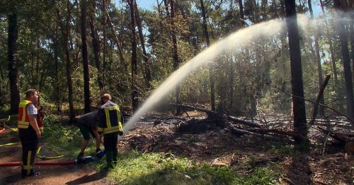 Vertrauensbruch bei der Feuerwehr: Aus Rettern werden Täter – Schock in Nettetal nach Brandserie