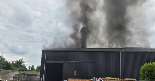 Feuerwehr im Einsatz: Großbrand in Kleve – Recyclinghalle steht in Flammen