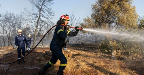 Dorf musste evakuiert werden: Großer Brand auf der griechischen Ferieninsel Thasos