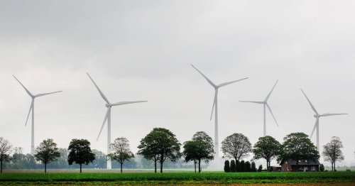 Erneuerbare Energien: 20 neue Windräder in NRW - Branche ist unzufrieden