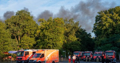 Feuer im Grunewald: Berlin, der Brand und das Bashing