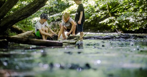 Die schönsten Wanderwege mit Kindern in NRW: Als Familie mal schnell in die Steinzeit wandern