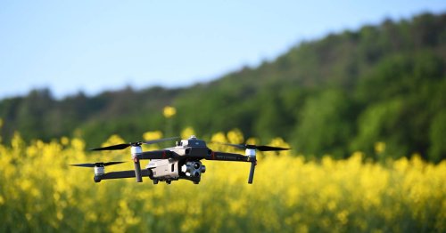 Ostfriesland: Drohne findet verirrte Partygänger im Moor