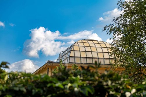 Semaine européenne du développement durable 2025 : les entreprises accélèrent leurs engagements RSE