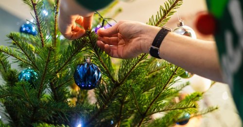 Everyday kitchen items that will keep your real Christmas tree looking fresh