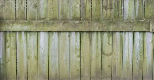 Hack to remove green algae from your wooden fence hailed amazing by gardeners