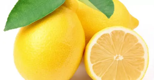 Five health benefits of drinking warm water with lemon in the morning