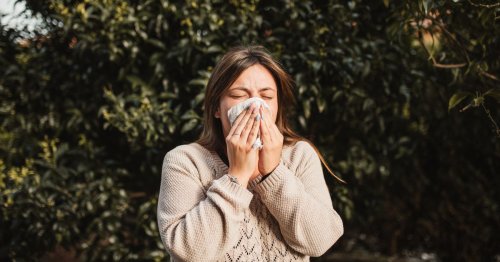 Tips to avoid getting hay fever symptoms amid high pollen spike
