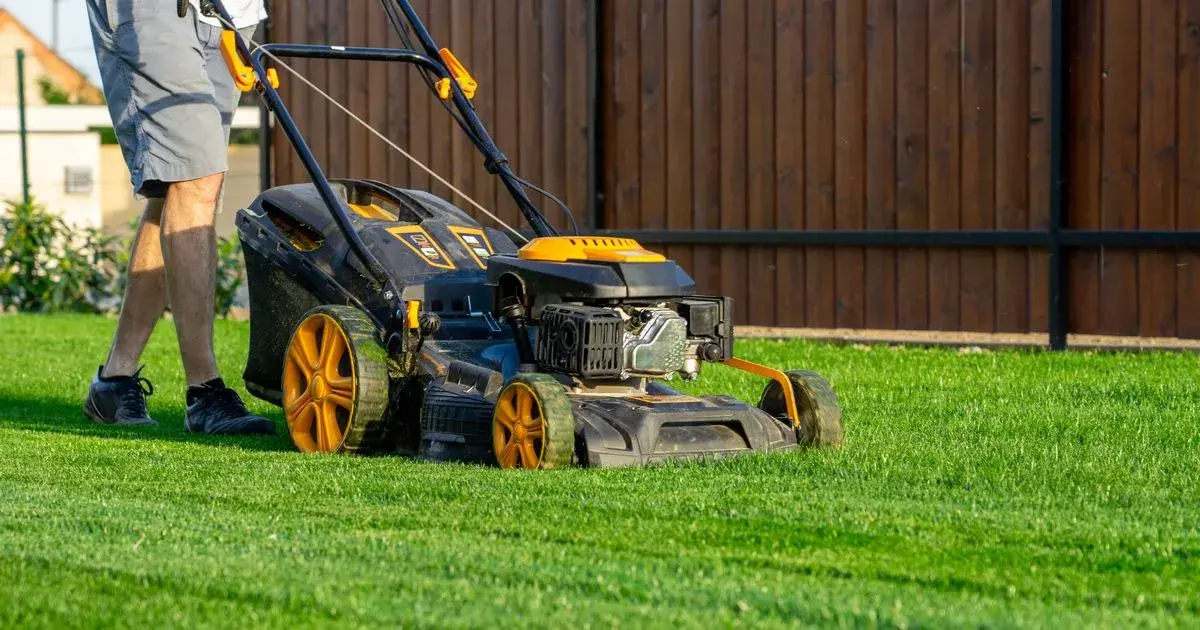 Gardeners urged to avoid error that makes lawns weak when mowing grass in spring